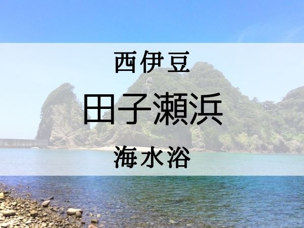 田子瀬浜 青い海と熱帯魚がいる西伊豆の海水浴場 生き物が豊富でシュノーケリングに最適 すそのナビ