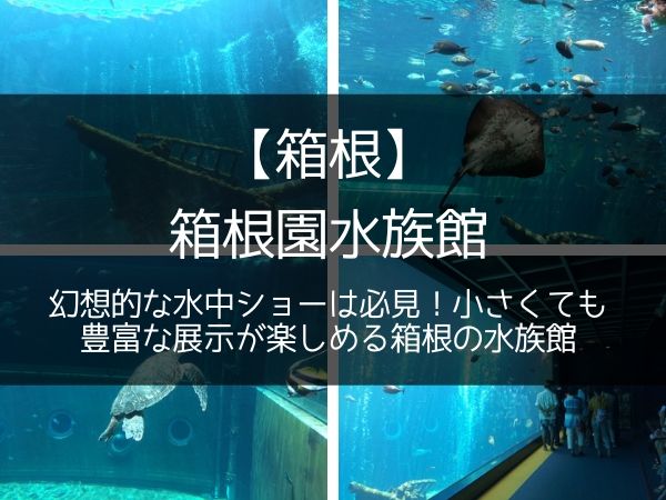 静岡県の水族館 全6ヶ所 を地元静岡県民が徹底紹介 周辺エリアも